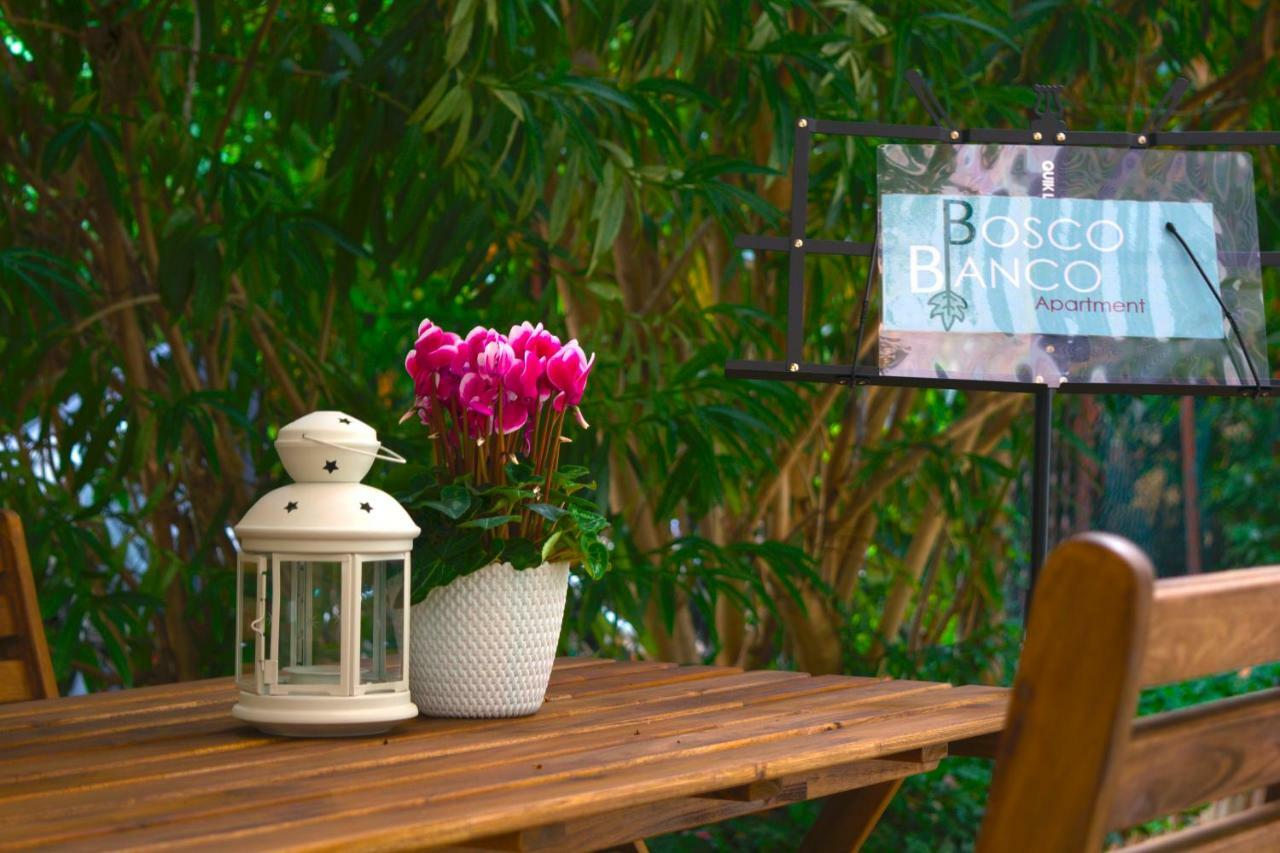 Bosco Bianco Apartment Bologna Ngoại thất bức ảnh